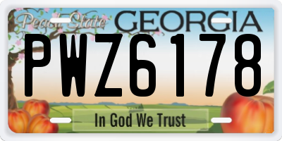 GA license plate PWZ6178