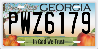 GA license plate PWZ6179
