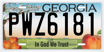 GA license plate PWZ6181