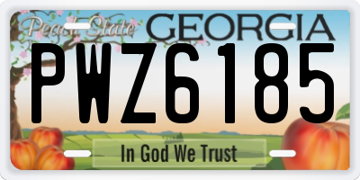 GA license plate PWZ6185