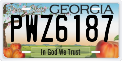 GA license plate PWZ6187