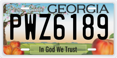 GA license plate PWZ6189