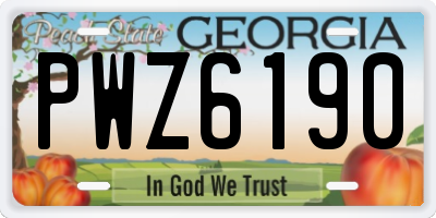 GA license plate PWZ6190