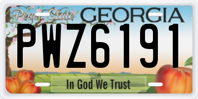 GA license plate PWZ6191