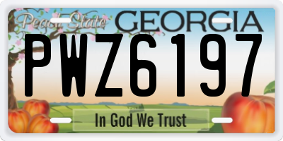 GA license plate PWZ6197