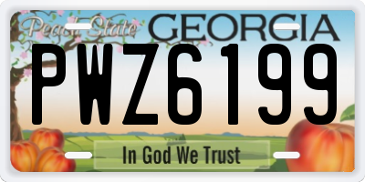 GA license plate PWZ6199
