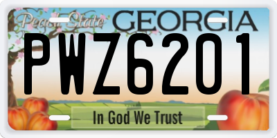 GA license plate PWZ6201