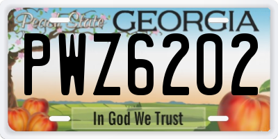 GA license plate PWZ6202