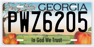 GA license plate PWZ6205