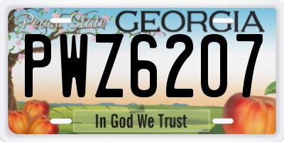 GA license plate PWZ6207