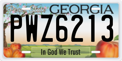 GA license plate PWZ6213