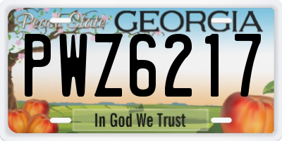 GA license plate PWZ6217
