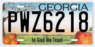 GA license plate PWZ6218