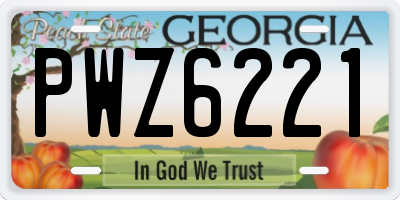 GA license plate PWZ6221