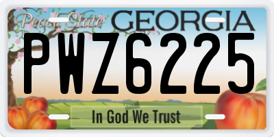 GA license plate PWZ6225