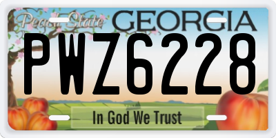 GA license plate PWZ6228
