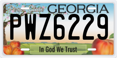 GA license plate PWZ6229