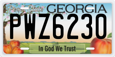 GA license plate PWZ6230