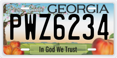 GA license plate PWZ6234