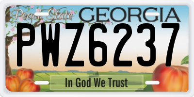 GA license plate PWZ6237