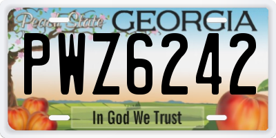 GA license plate PWZ6242