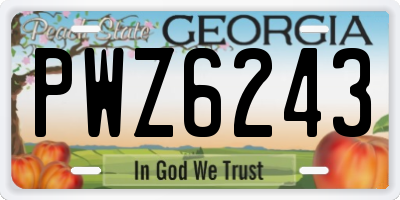 GA license plate PWZ6243