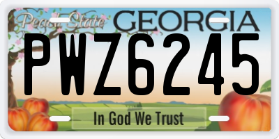 GA license plate PWZ6245