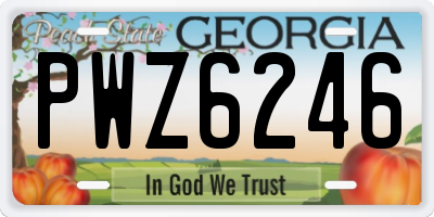 GA license plate PWZ6246