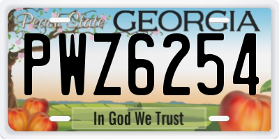 GA license plate PWZ6254
