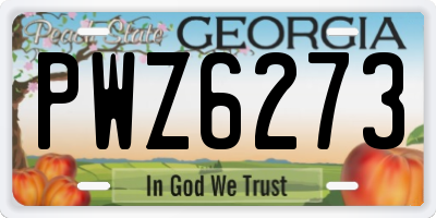 GA license plate PWZ6273