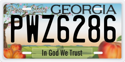 GA license plate PWZ6286