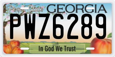 GA license plate PWZ6289