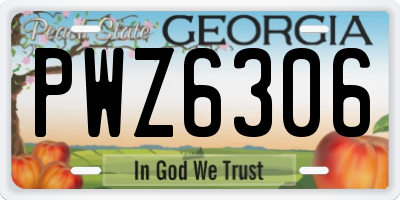 GA license plate PWZ6306