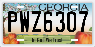 GA license plate PWZ6307