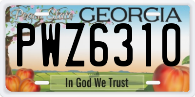 GA license plate PWZ6310