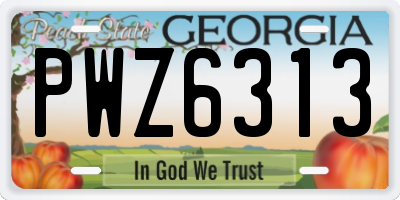 GA license plate PWZ6313