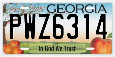 GA license plate PWZ6314