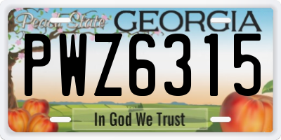 GA license plate PWZ6315