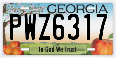GA license plate PWZ6317