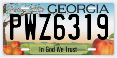 GA license plate PWZ6319