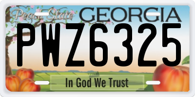 GA license plate PWZ6325