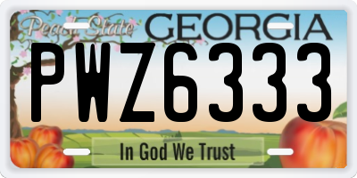 GA license plate PWZ6333