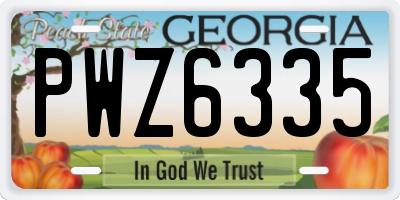GA license plate PWZ6335