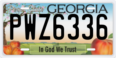 GA license plate PWZ6336