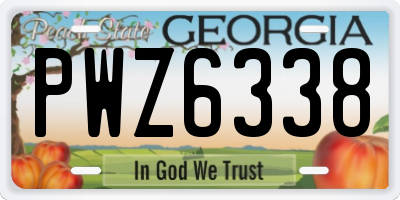 GA license plate PWZ6338