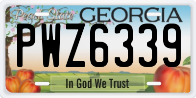GA license plate PWZ6339
