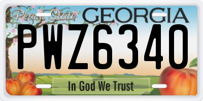GA license plate PWZ6340