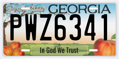 GA license plate PWZ6341