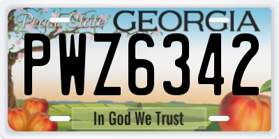 GA license plate PWZ6342