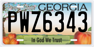 GA license plate PWZ6343